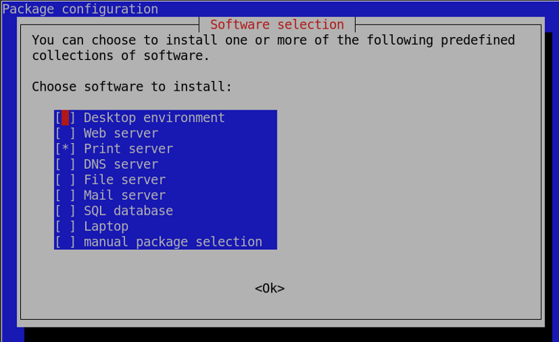 linux installation menu, screen capture