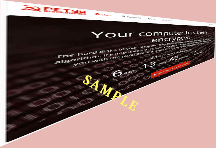 ransomware screen shot, sample